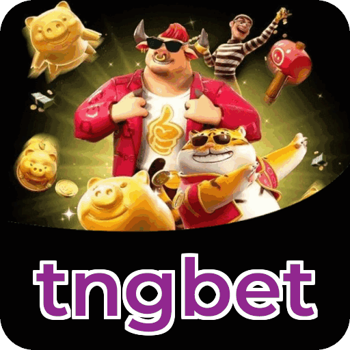 Login rápido no app tngbet